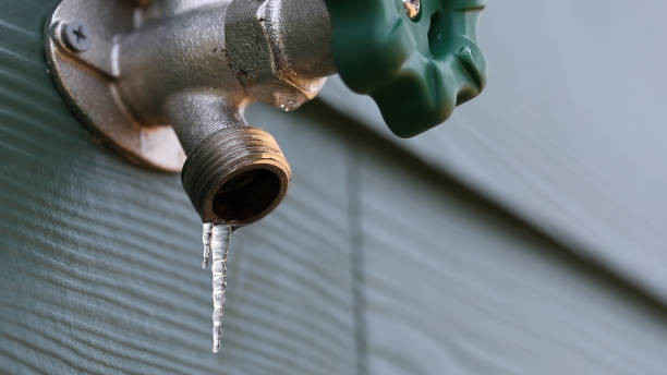Best Shower Repair Services  in Bastrop, TX